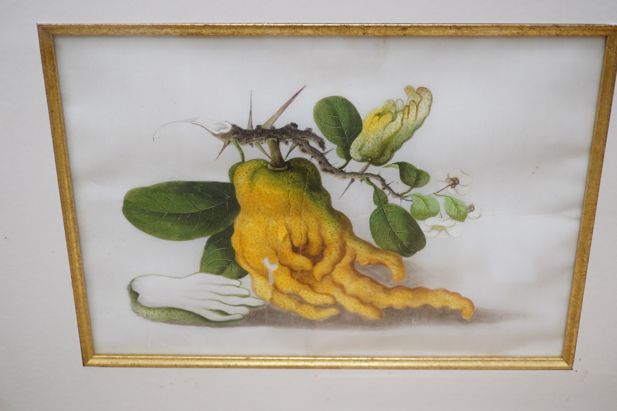 Mid 19th century, Chinese School, set of four pith paintings, Still lifes of fruit and vegetables, 18 x 26cm. Condition - poor, rips to the paper